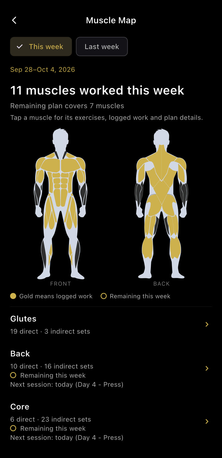 Muscle Map: 11 muscles worked this week, front and back, gold where work was logged